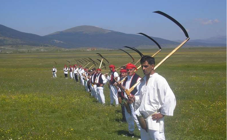 Kosci
