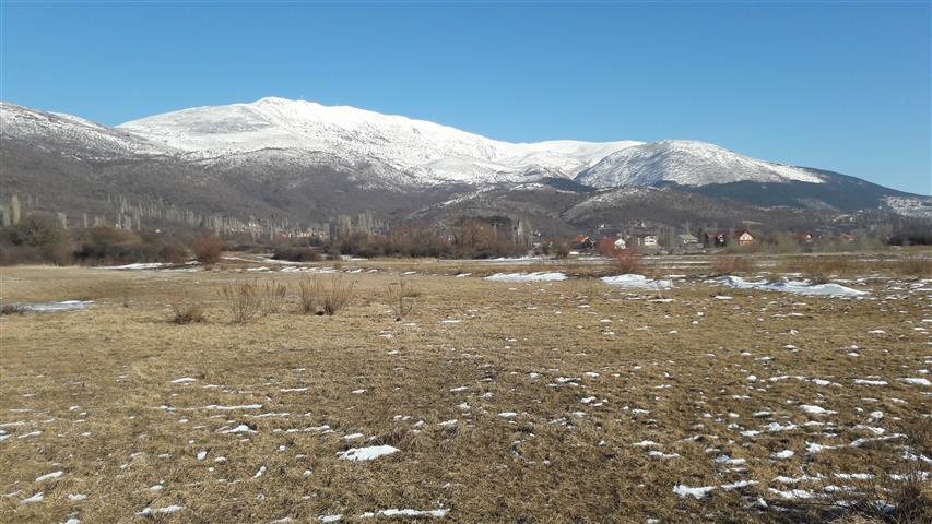 Tušnica